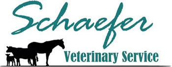 Schaefer vet service