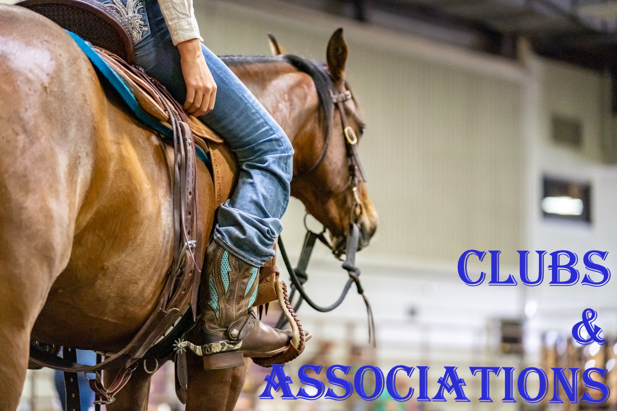 ND Equine Resource Directory