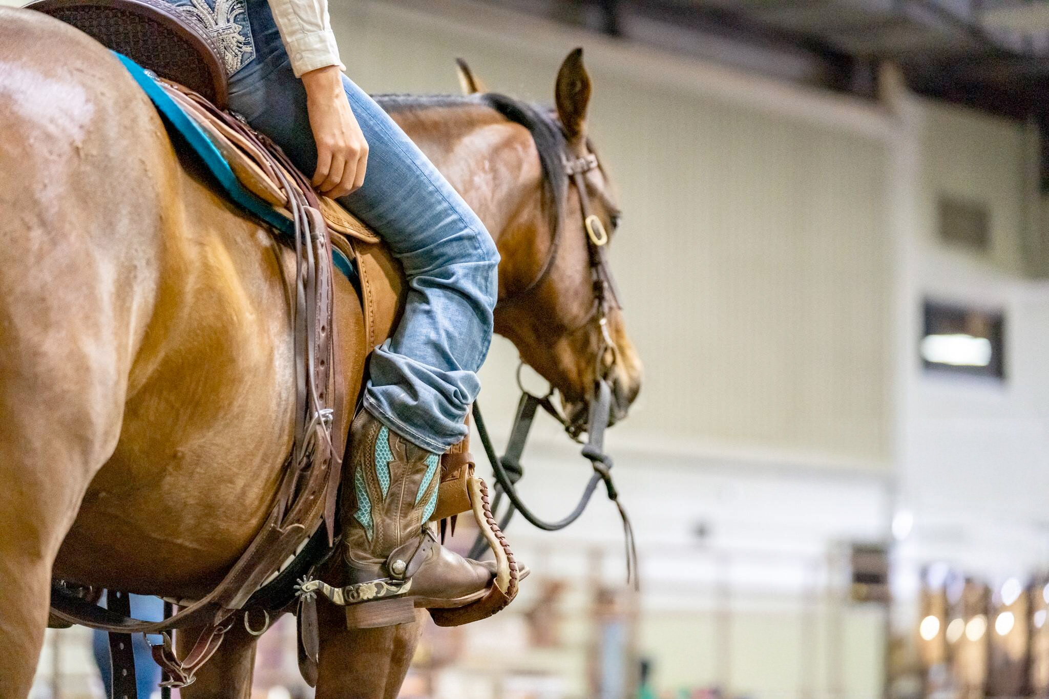 ND Equine Directory Listings