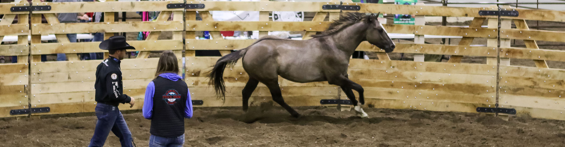 Horse Vendors North Dakota Equine Association